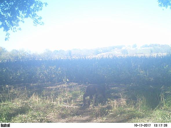 2017-10-17 PICT0603