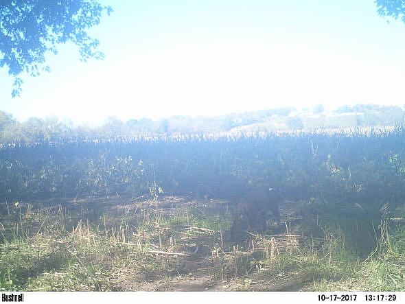 2017-10-17 PICT0604