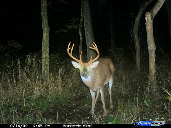 8pt.JPG