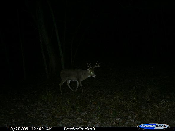 CDY_0044.JPG