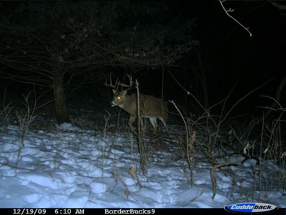 CDY_0070.JPG