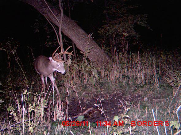 MDGC0031.JPG