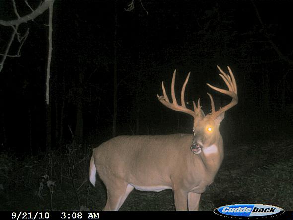 CDY_0044.JPG