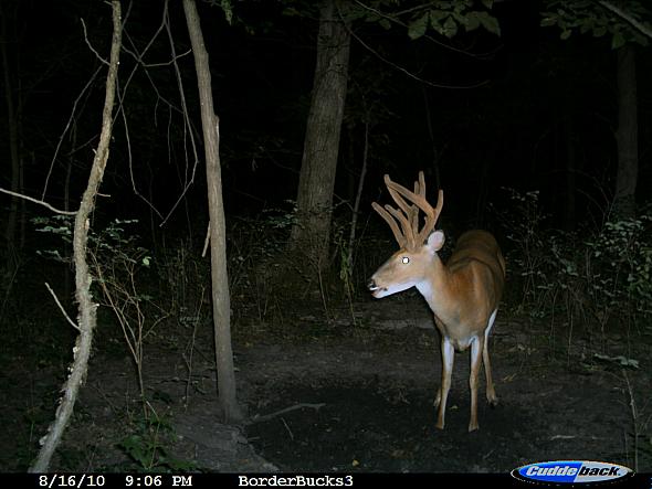 CDY_0132.JPG