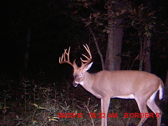MDGC0005.JPG