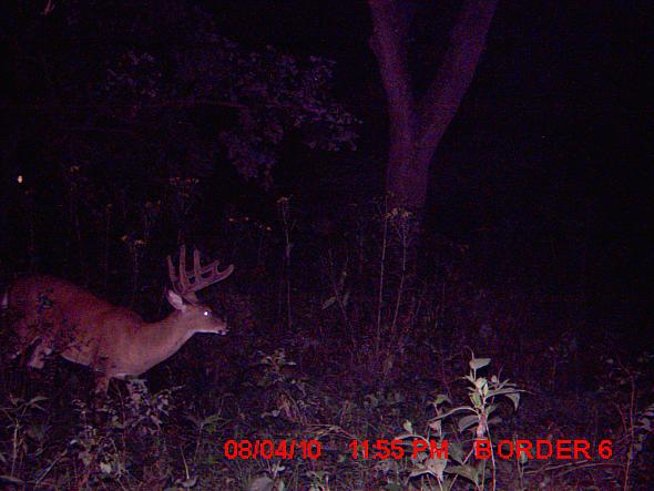 MDGC0027.JPG