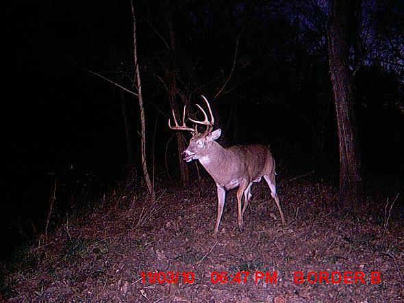 MDGC0079.JPG