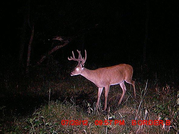 MDGC0823