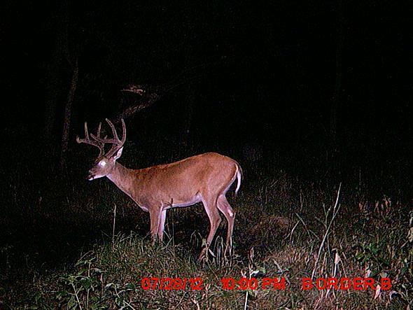 MDGC0827