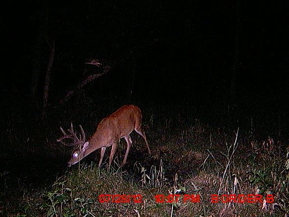 MDGC0830