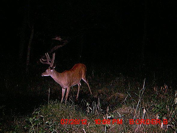 MDGC0831