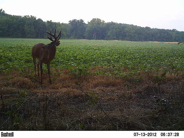 PICT0070-001