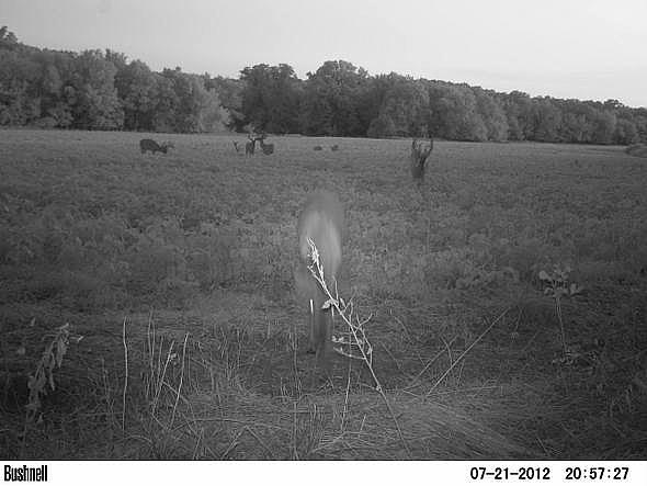 PICT0207-001