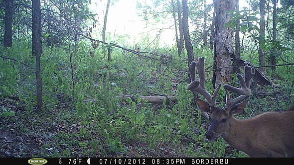 PICT0380