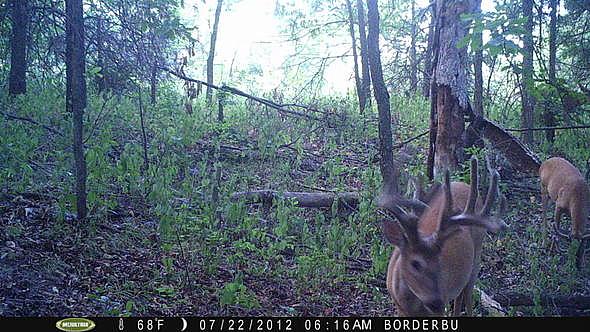 PICT3015