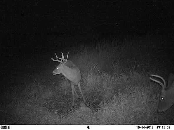 EK000480
