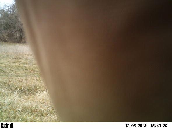 PICT0008