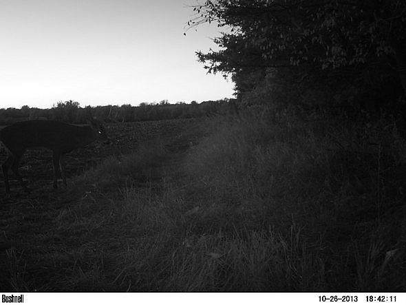 PICT0084
