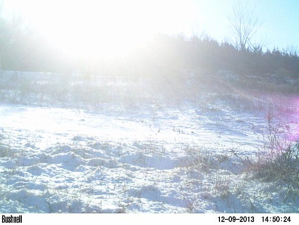 PICT0234