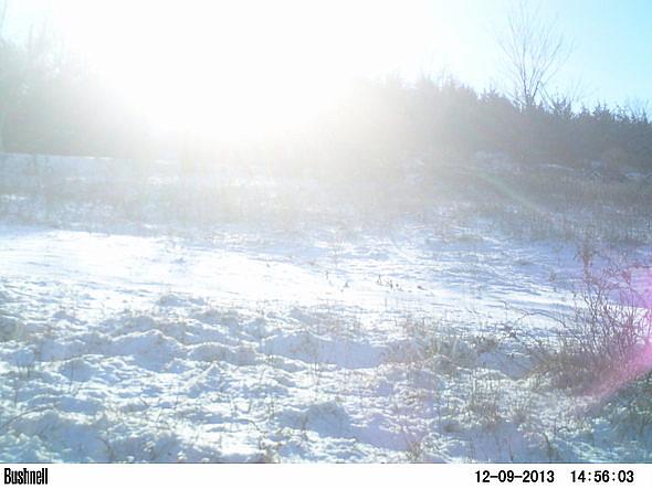 PICT0235