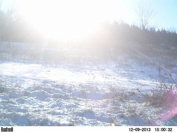 PICT0238