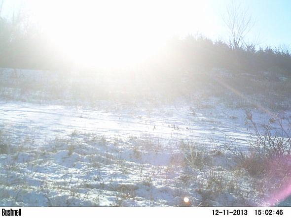 PICT0301-001
