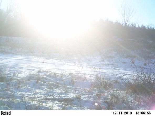 PICT0304-001