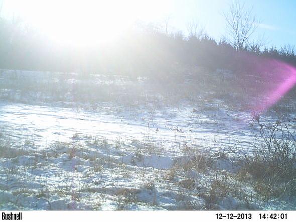 PICT0328