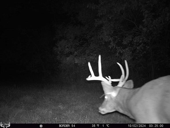 10020018