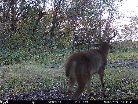 10090075
