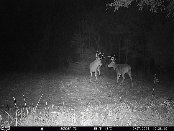10270457