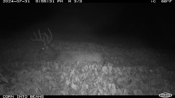 50c71f54-ecb4-485c-985d-e818e4354d2b