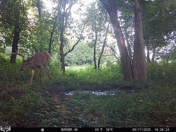 08170605
