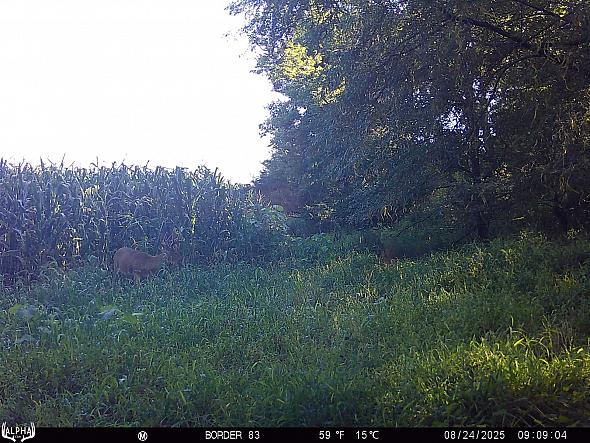 08240398