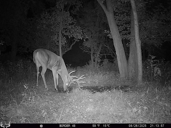 08260150