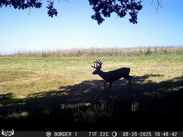 08280099