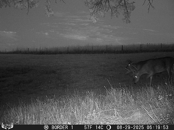 08290120