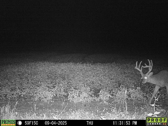 09040653
