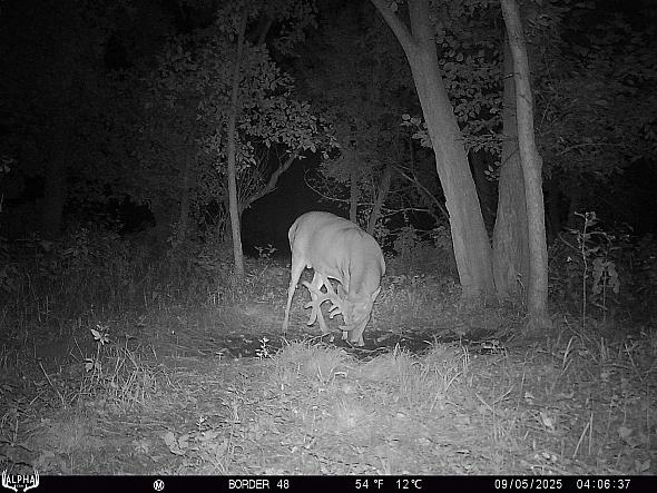 09050614