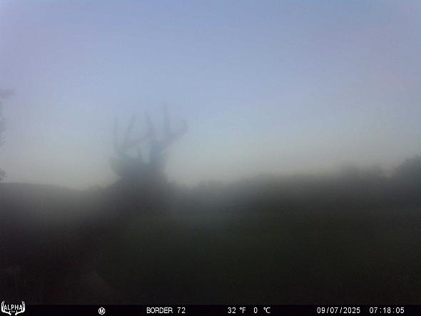 09070040