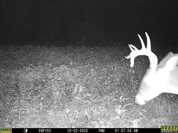 10020233