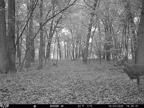 10240951