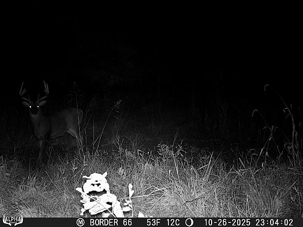 10260998