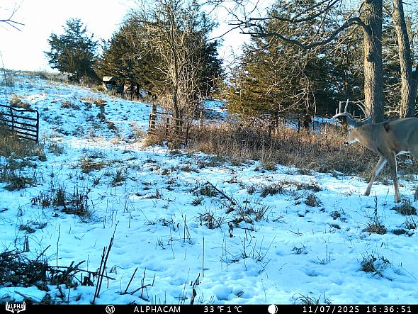 IMAG0431