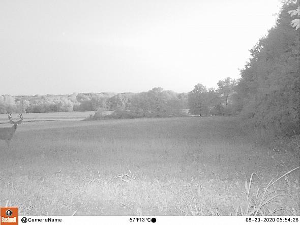 08200836