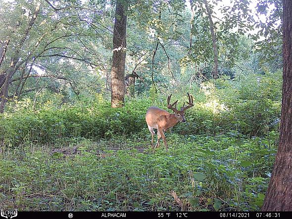 08140974