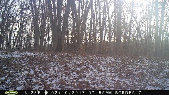 2017-02-10 PICT0544