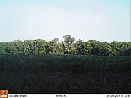 09090040