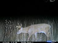 CDY 0007