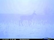 CDY 0022